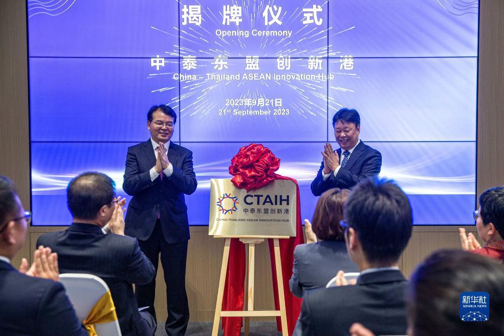 鱼丸游戏pc